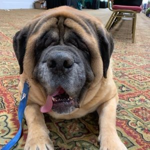 Meet your Posher, Andrew